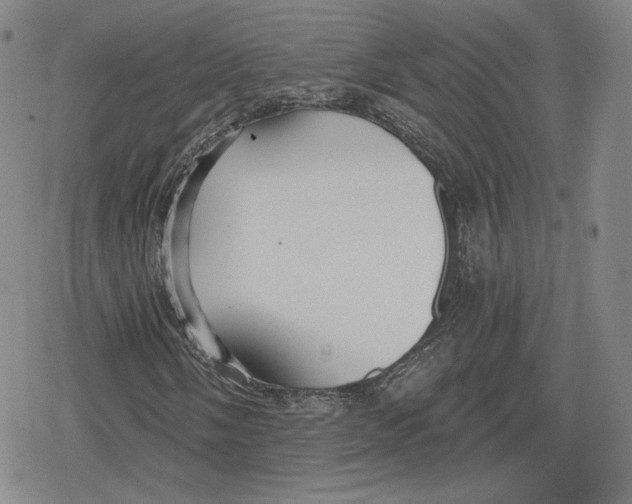X0000079291058200612151656