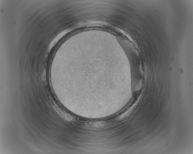 X0000079291066200612151656