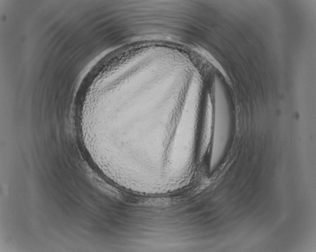 X0000079291068200612151656