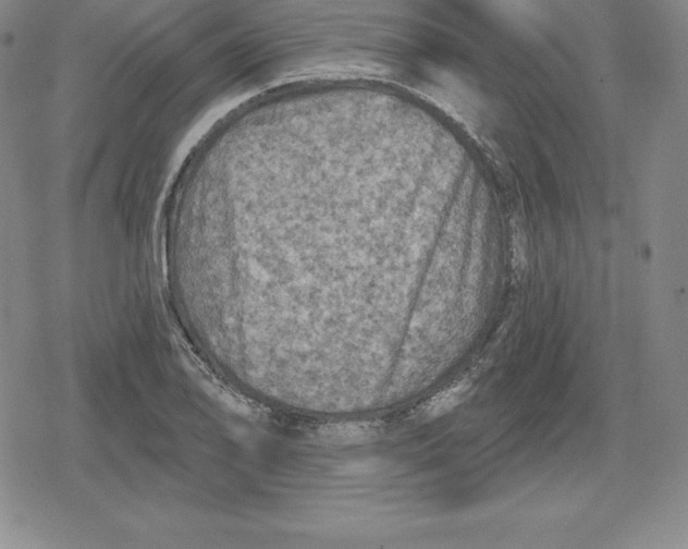 X0000079291078200612151656