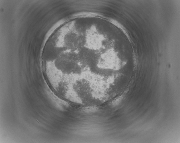 X0000079291090200612151656