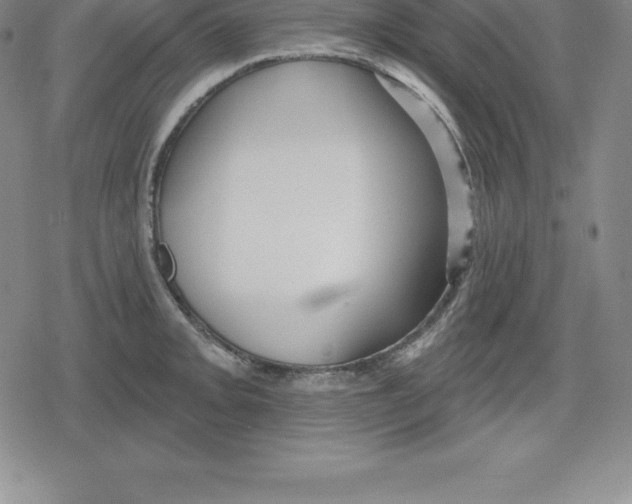 X0000079291093200612151656