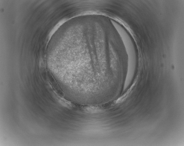 X0000079291097200612151656