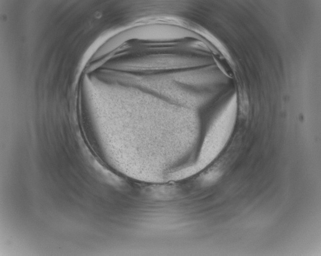 X0000079291102200612151656