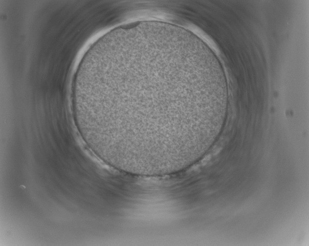X0000079291104200612151656