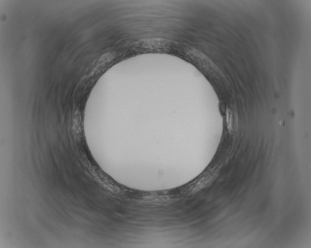 X0000079291107200612151655