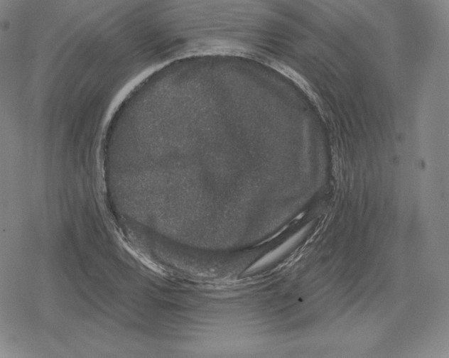 X0000079291120200612151655