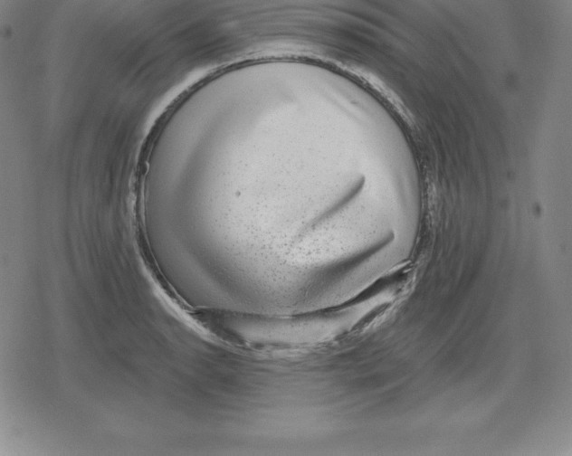 X0000079291134200612151655