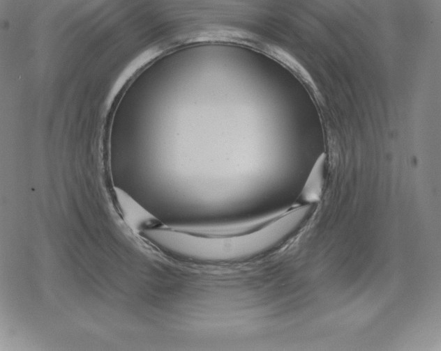 X0000079291138200612151655