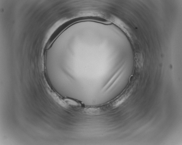 X0000079291140200612151655