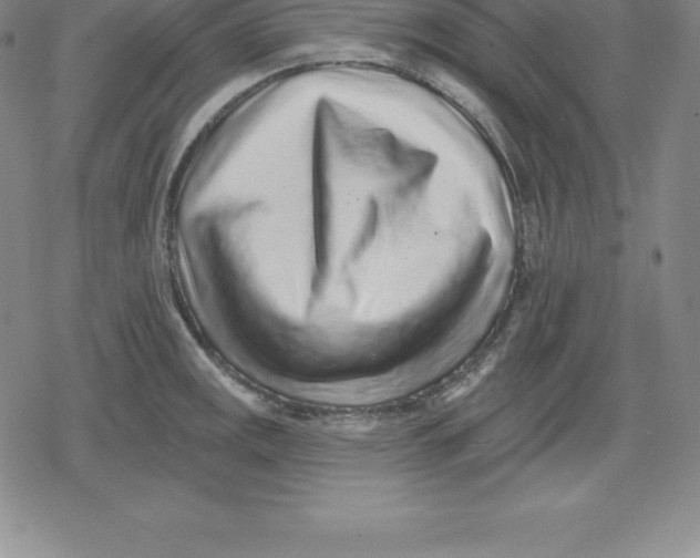 X0000079291141200612151655