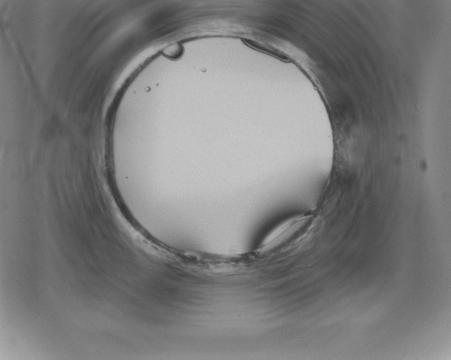 X0000079291147200612151655