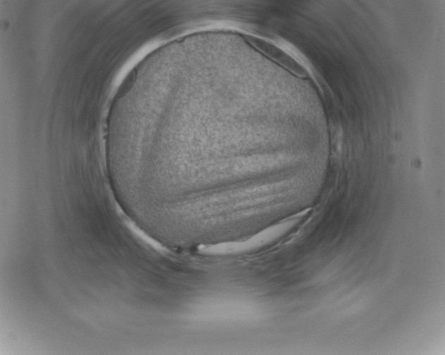 X0000079291151200612151656