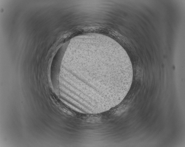 X0000079291153200612151655