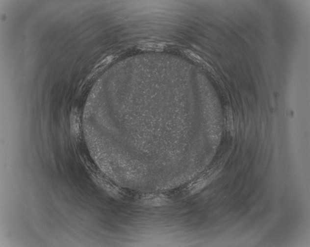 X0000079291154200612151655