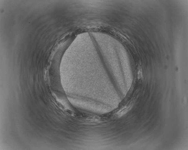 X0000079291156200612151655
