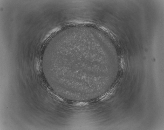 X0000079291157200612151655