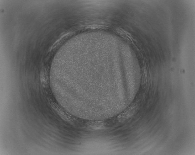 X0000079291158200612151655
