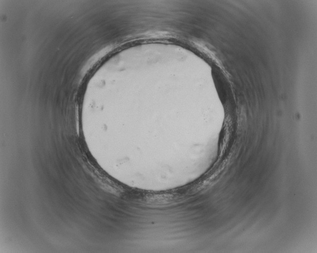 X0000079291171200612151654