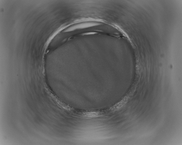 X0000079291173200612151654