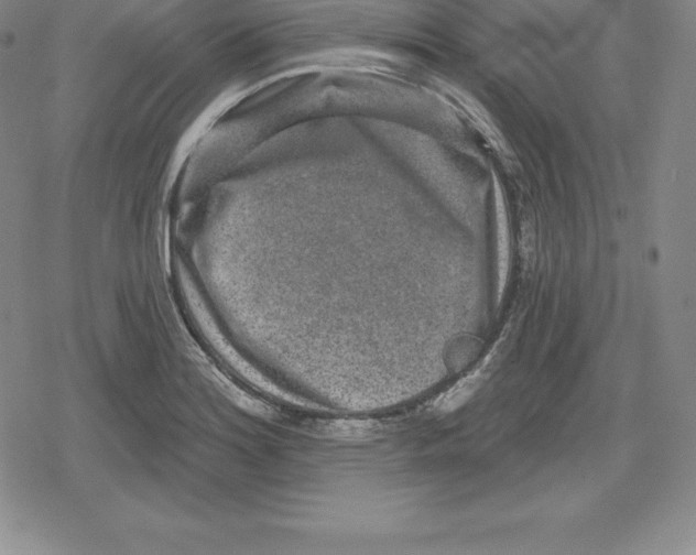 X0000079291180200612151654