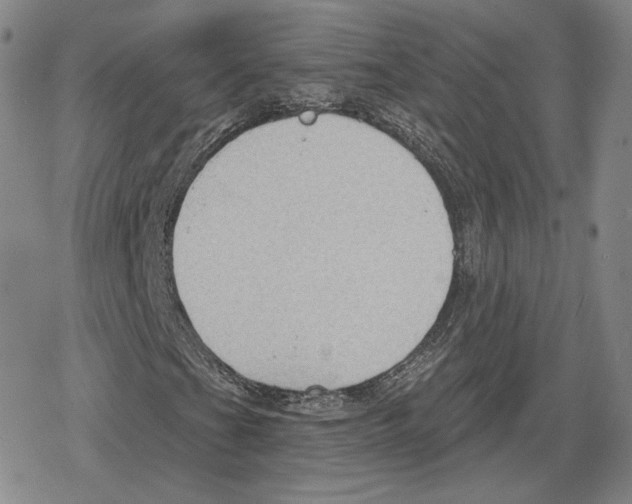 X0000079291201200612151653