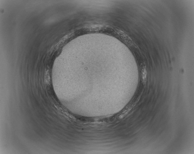 X0000079291204200612151653