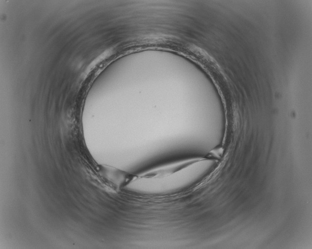 X0000079291210200612151653