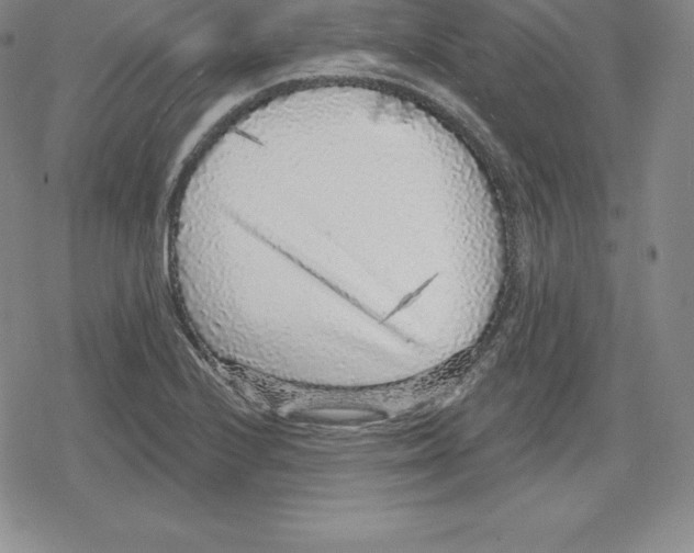 X0000079291224200612151654