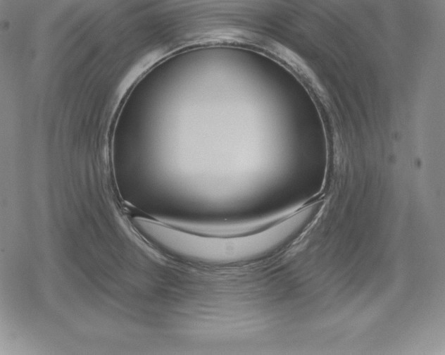 X0000079291234200612151654