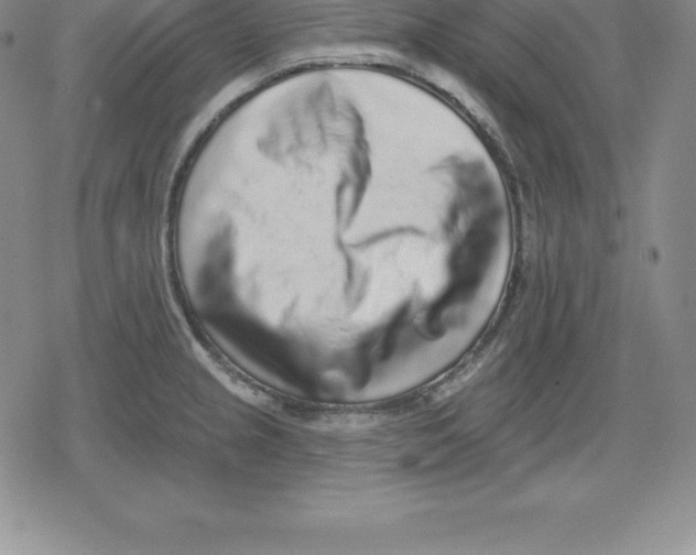 X0000079291237200612151654