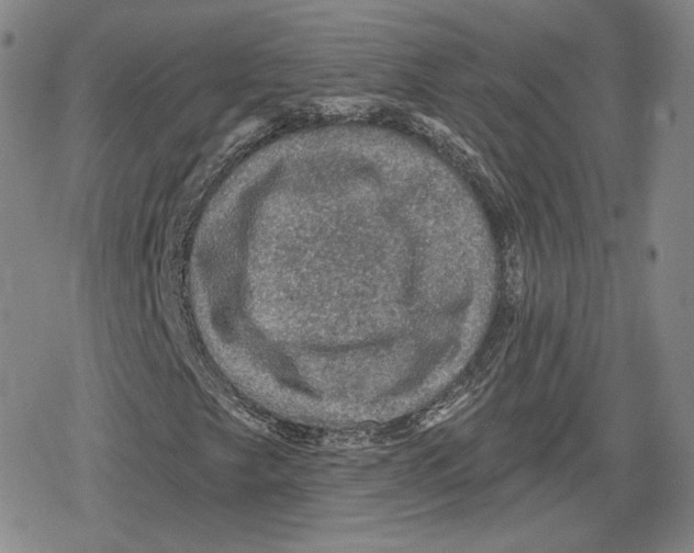 X0000079291249200612151653