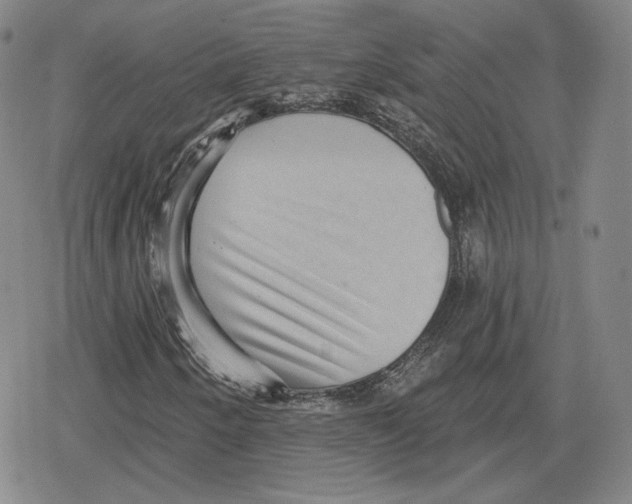 X0000079291250200612151653