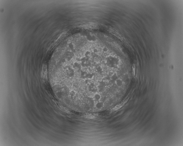 X0000079291251200612151653