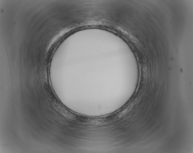 X0000079291262200612151653