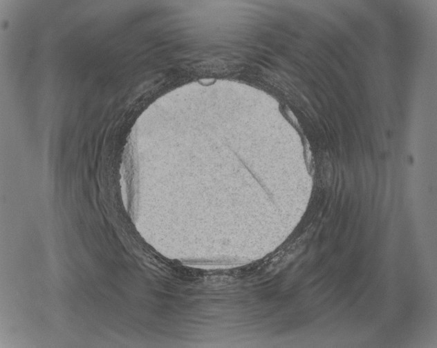 X0000079291297200612151652