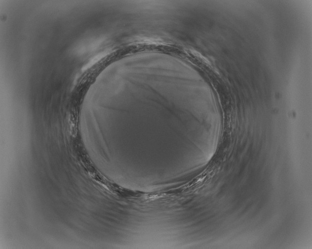 X0000079291303200612151652