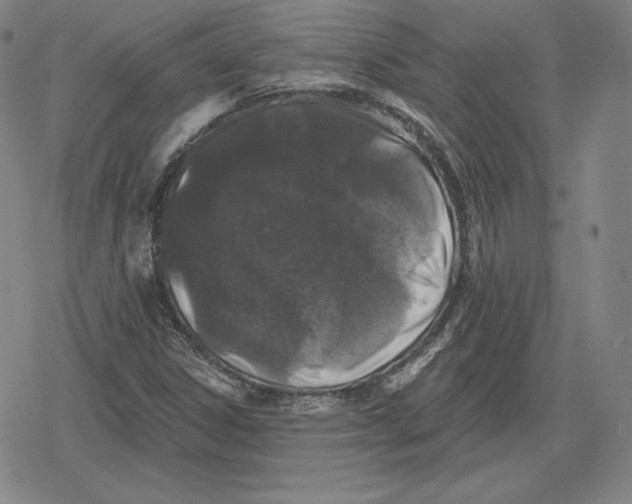 X0000079291306200612151652