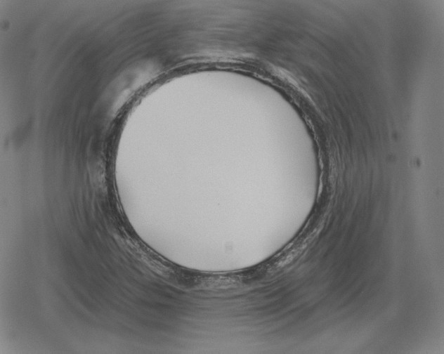 X0000079291307200612151652