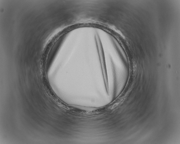 X0000079291311200612151652