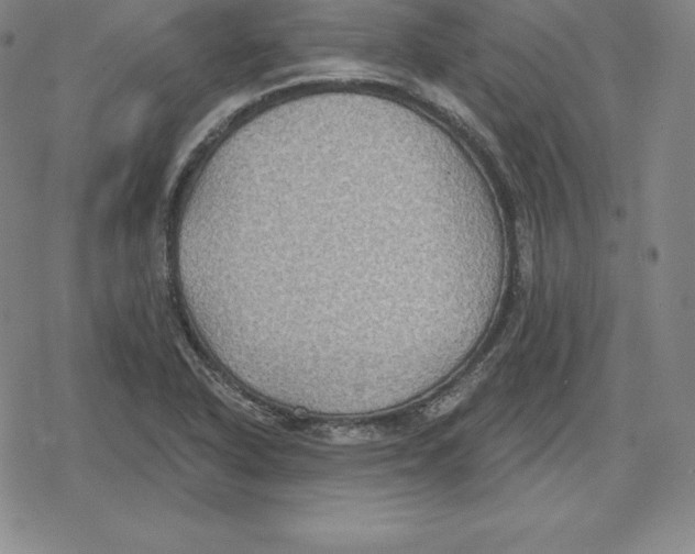 X0000079291318200612151652