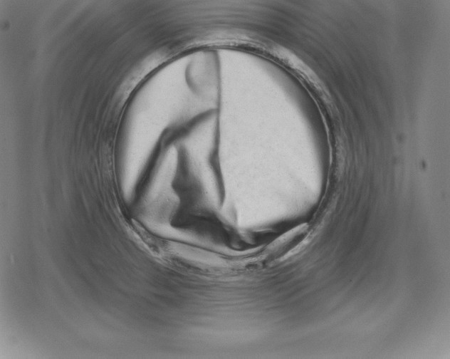 X0000079291329200612151652