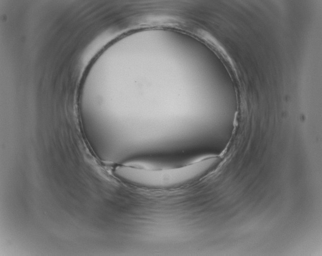 X0000079291336200612151652