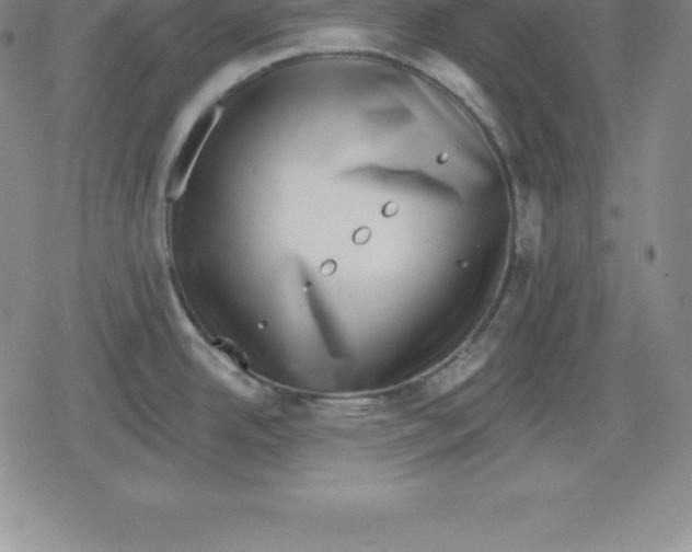 X0000079291342200612151652
