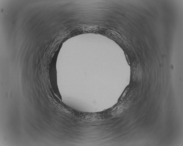 X0000079291345200612151652