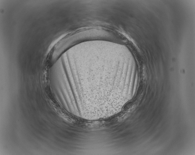 X0000079291352200612151652