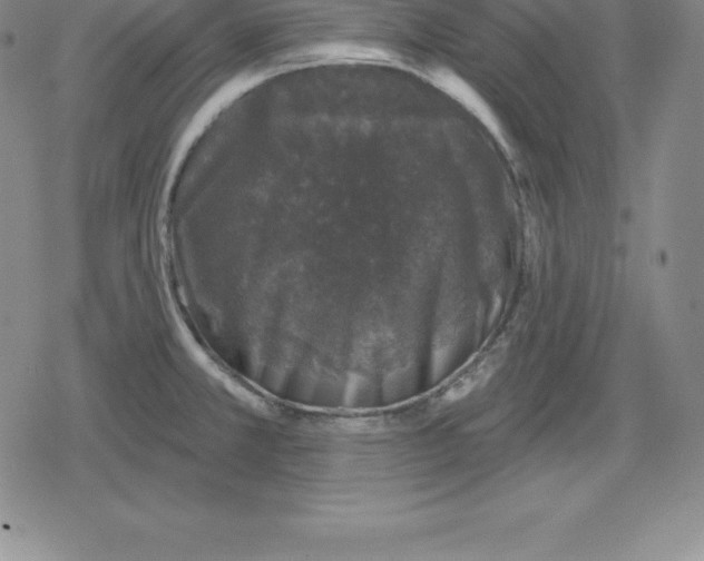 X0000079291381200612151651