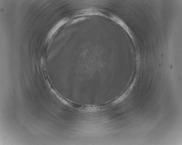 X0000079291385200612151651