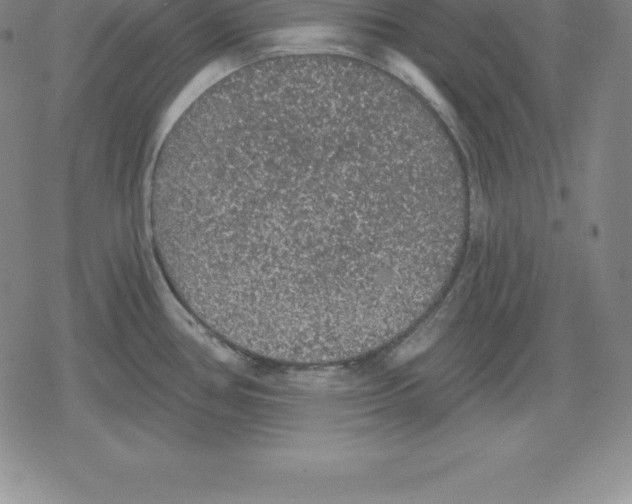 X0000079291386200612151651
