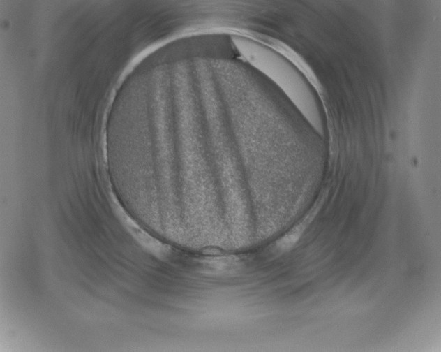 X0000079291388200612151651